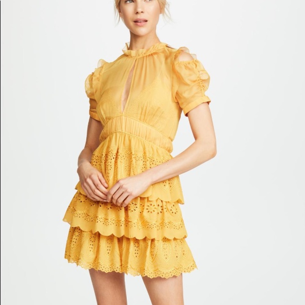 Self-Portrait Embroidered Chiffon Tiered Mini Dress